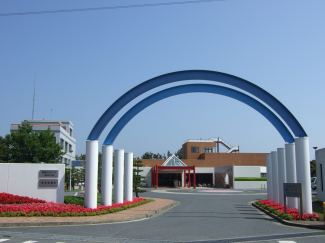 ���C���q�َ͊ʐ^